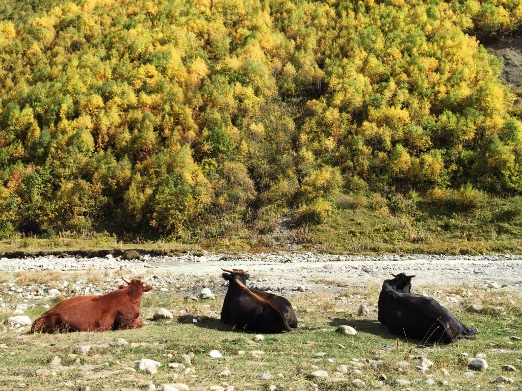 svaneti georgia travel lesson