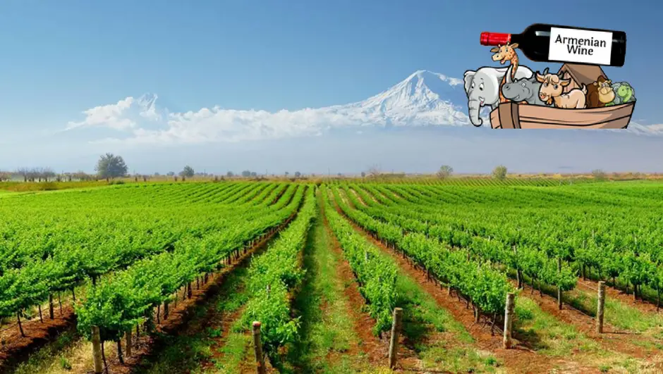 Armenian Wine Importers UK