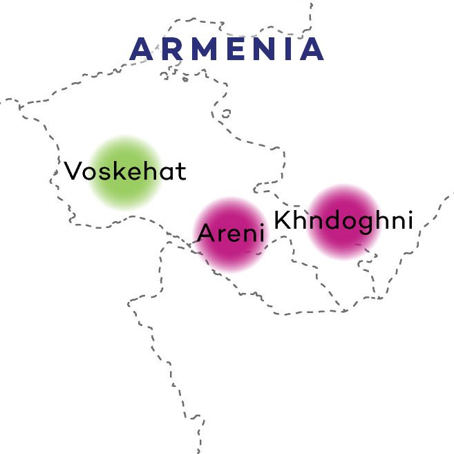 armenia-wine-map-grapes-ancient-wine-grape