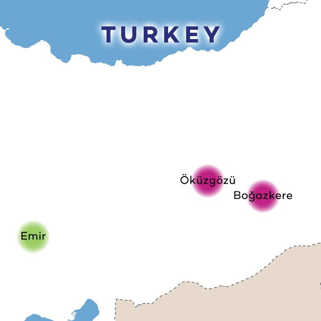 turkey-wines-on-map-ancient-wine-grape
