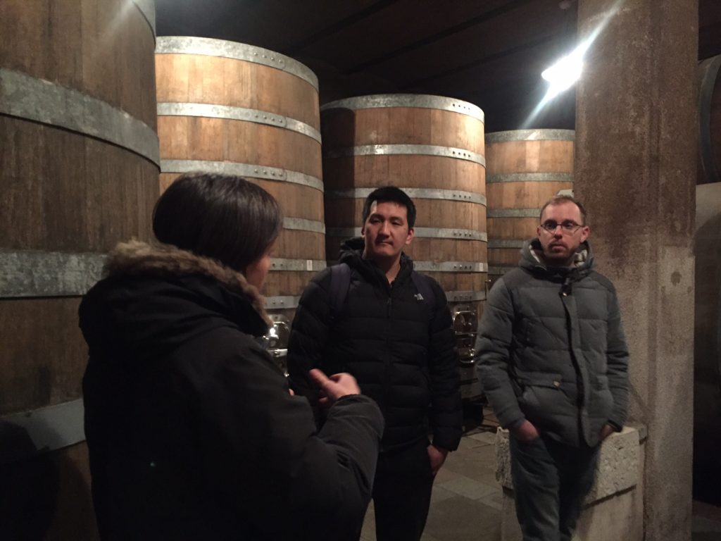 Gravner cask cellar