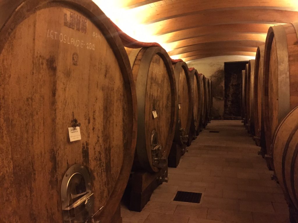 Radikon Cellar 