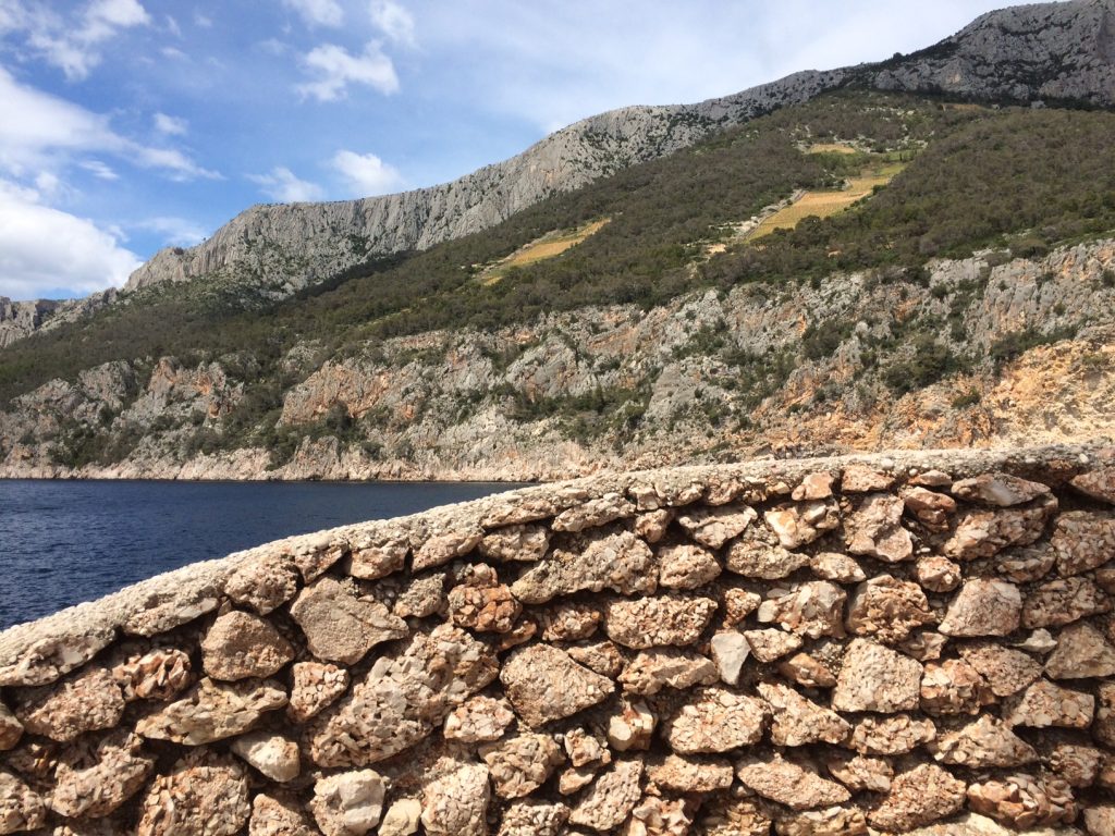 Hvar Vineyards