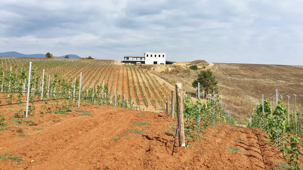 winery doja toplica serbia
