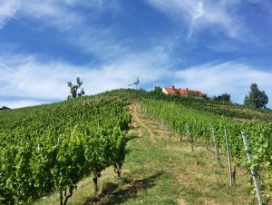 Weingut Rebenhof Hartmut Aubell