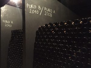 Movia Puro Cellar