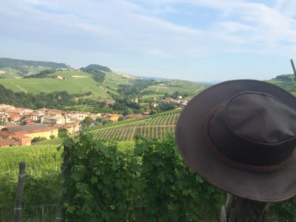 vineyard barolo wine tourism wine travel italy