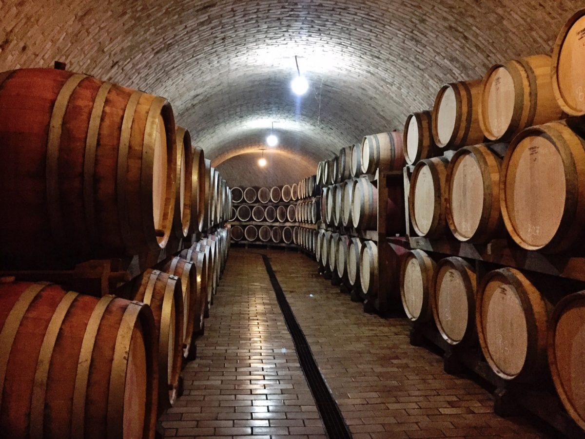 enjingi cellar