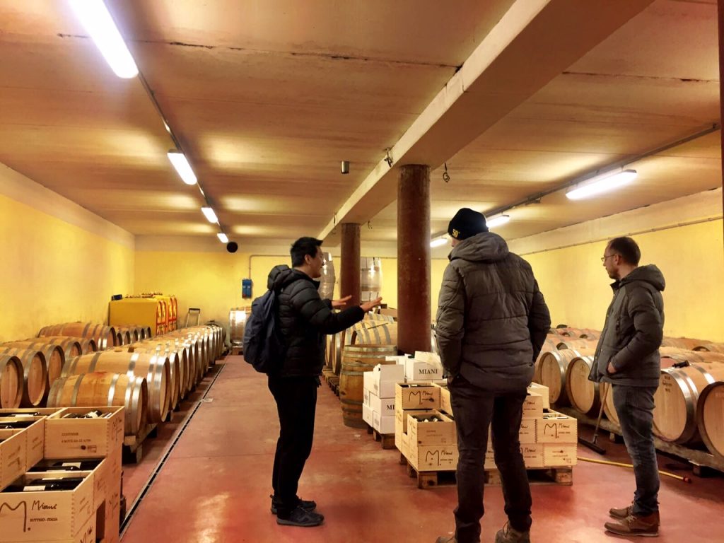 miani winery cellar friuli