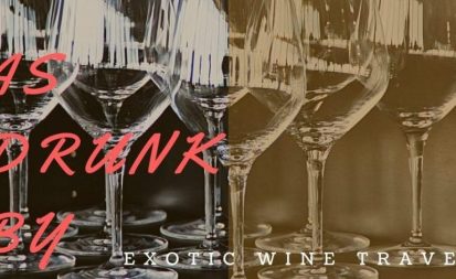 exotic wine travel tasting notes and wine reviews