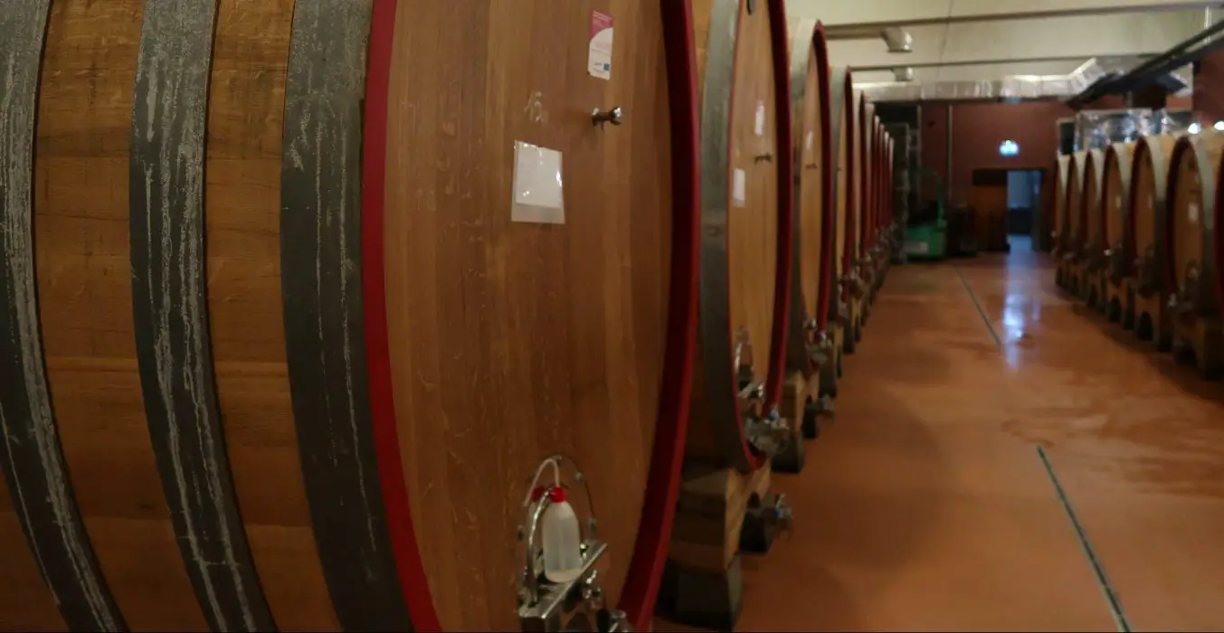 Villany Wine Region Cellar