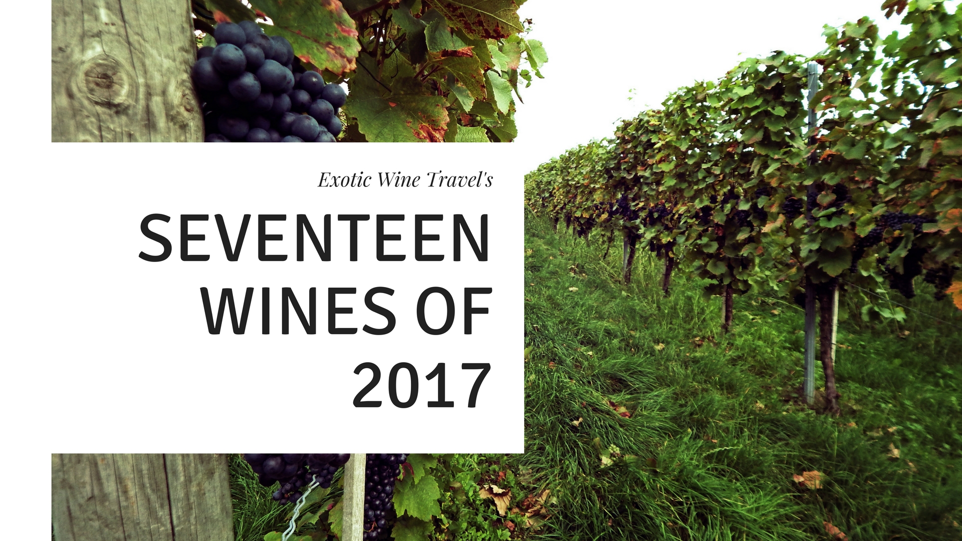 Exotic Wine Travel Best Wines 2017