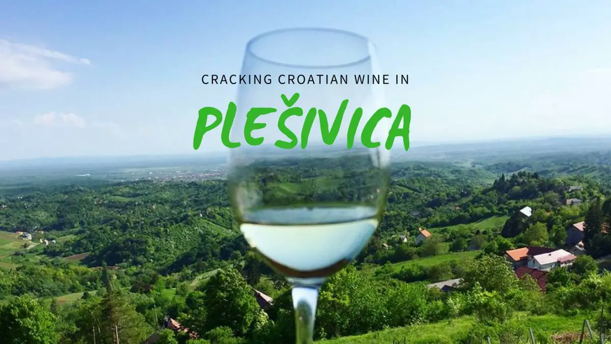 cracking croatian wine in plesivica