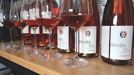 Garofano Girofle Rose Radici del Sud