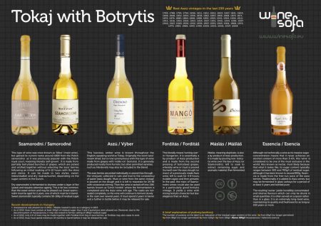 Tokaji Wines