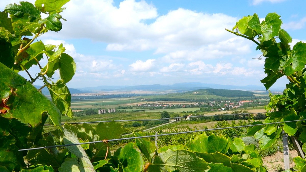 Slovak Tokaj