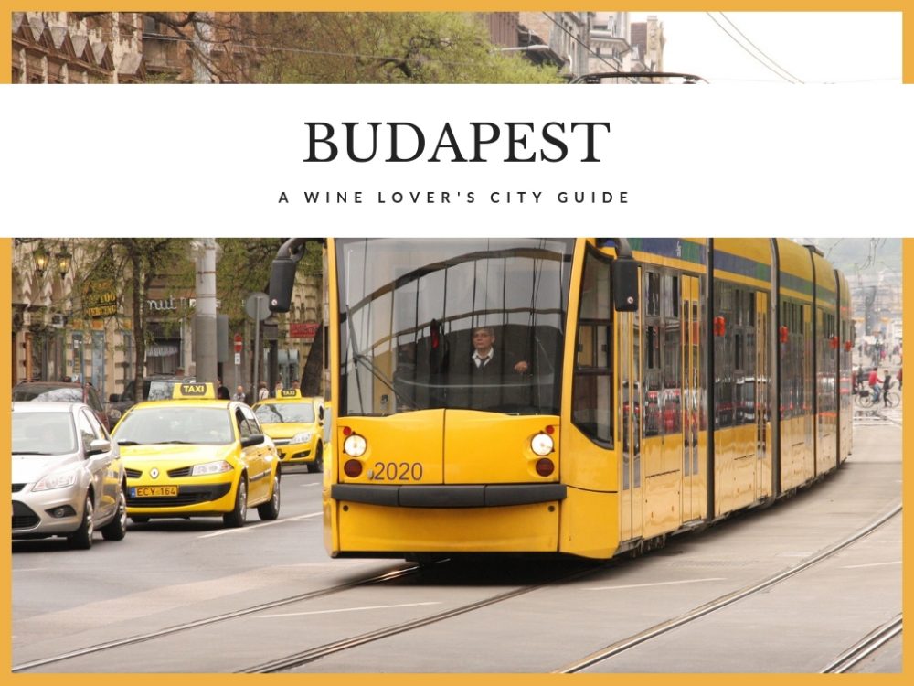 city guide budapest wine lover gastronomy