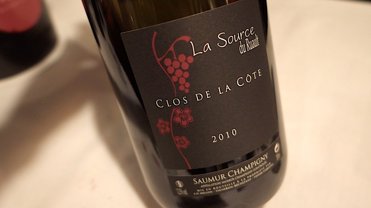 Clos de la cote la source du ruault saumur champigny