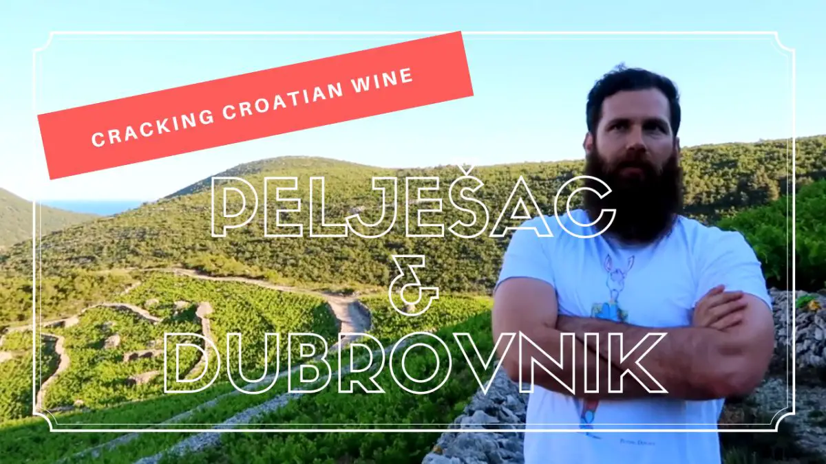 Cracking Croatian Wine in Peljesac & Dubrovnik