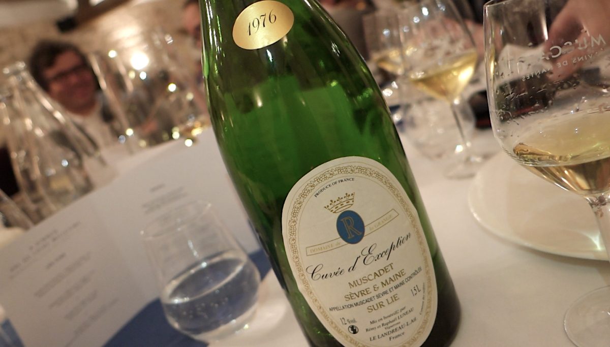 aged muscadet sevre maine