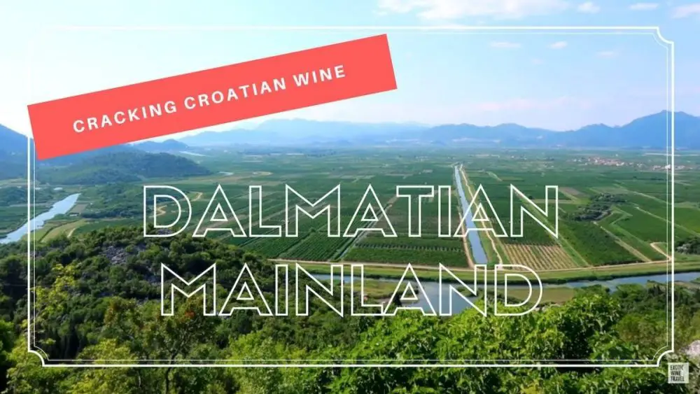 Cracking Croatian Wine Dalmatian Mainland