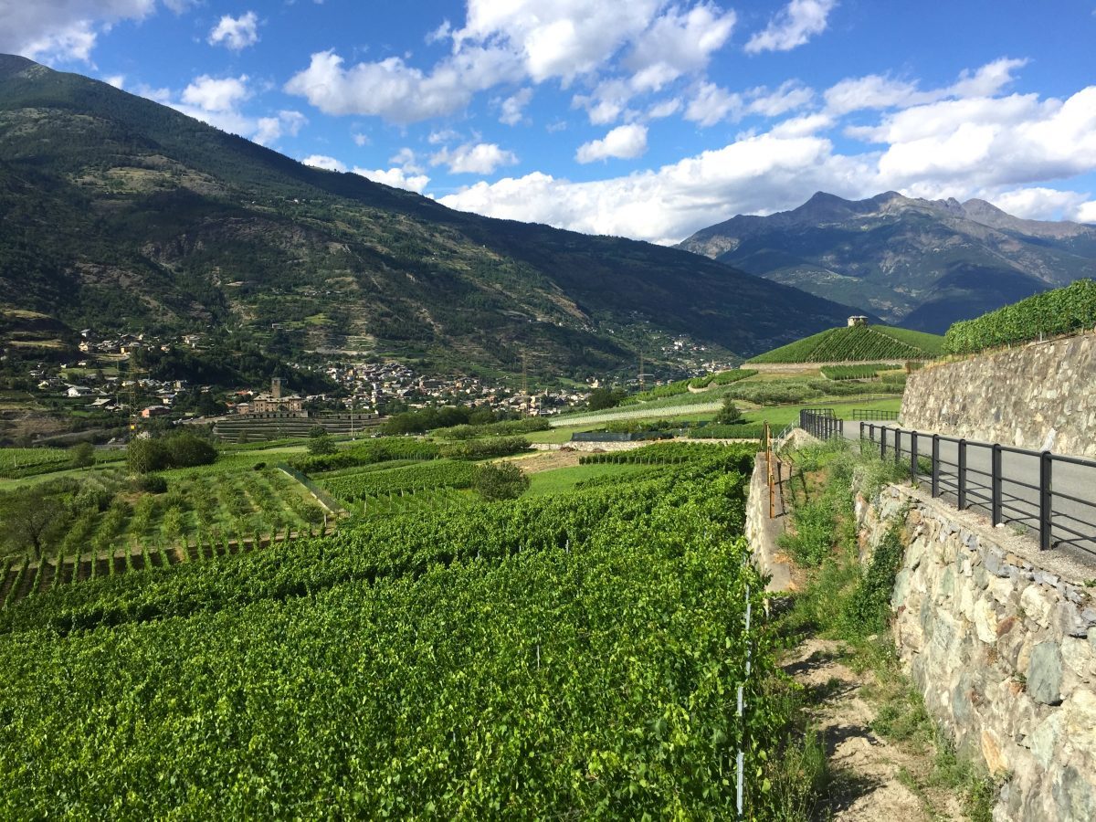 Italian wine valle d aosta