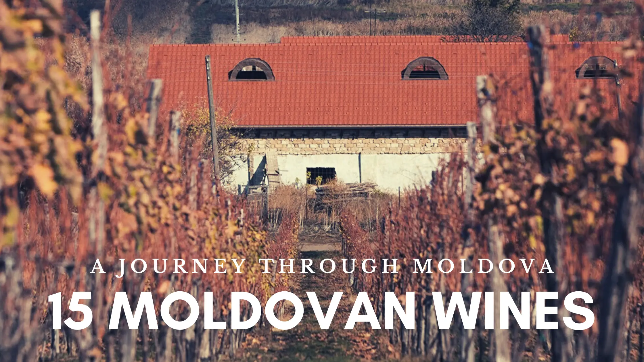 Moldova Wine Moldova Travel