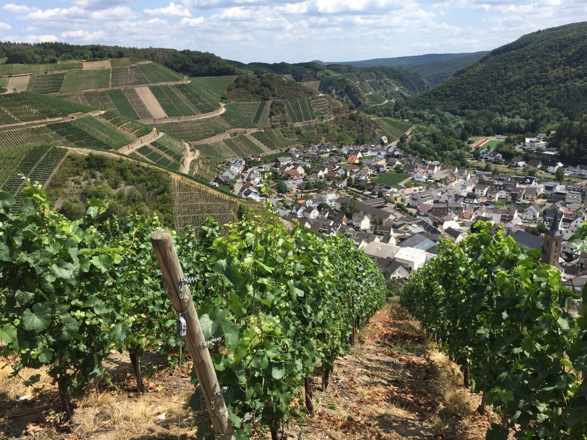 German Pinot Noir Spatburgunder Ahr Valley