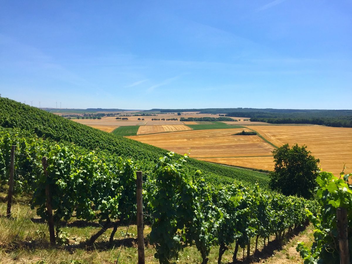 German Wine Rheinhessen Riesling Wagner Stempel