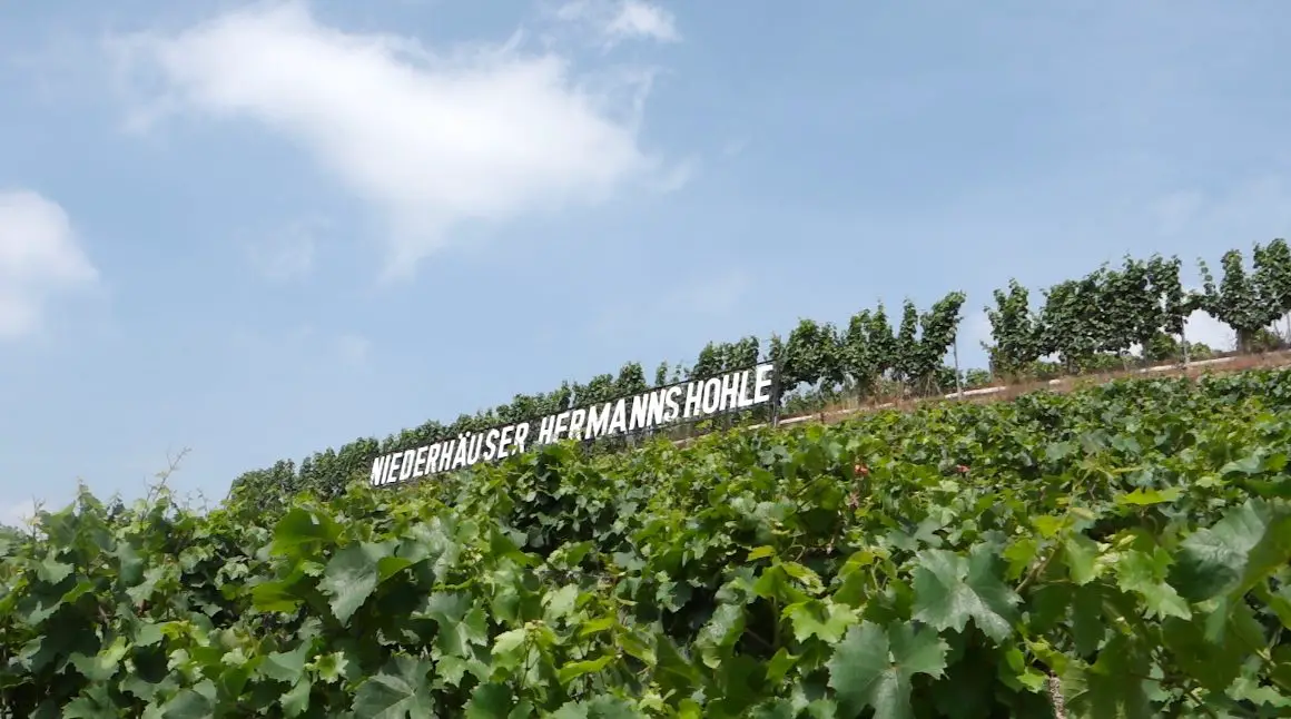 Nahe Riesling German Wine Niedherhauser Hermannshohle