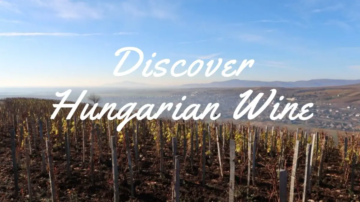 discover_hungarian_wine_guide