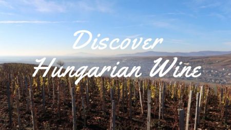 discover_hungarian_wine_guide