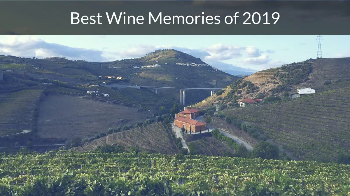 Exotic Wine Travel Best Wine Memories of 2019