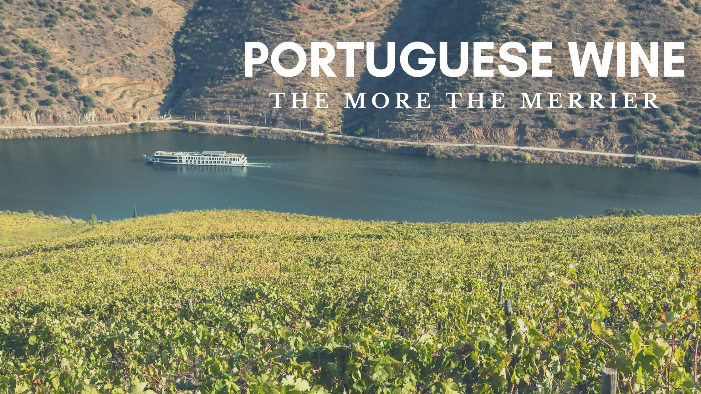 Portuguese wine douro