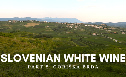 Slovenian White Wine Goriska Brda