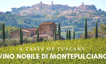 Tuscan Wine Vino Nobile di Montepulciano