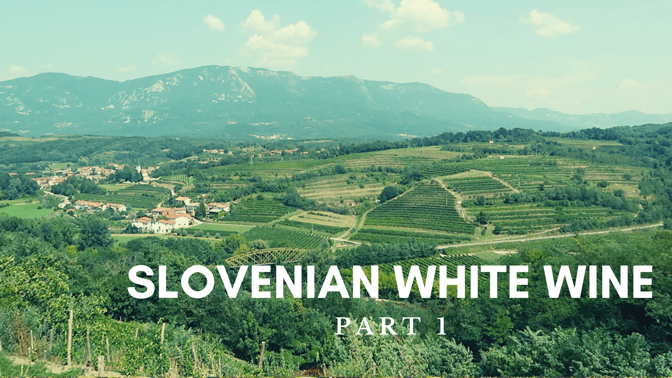 slovenian white wine part 1