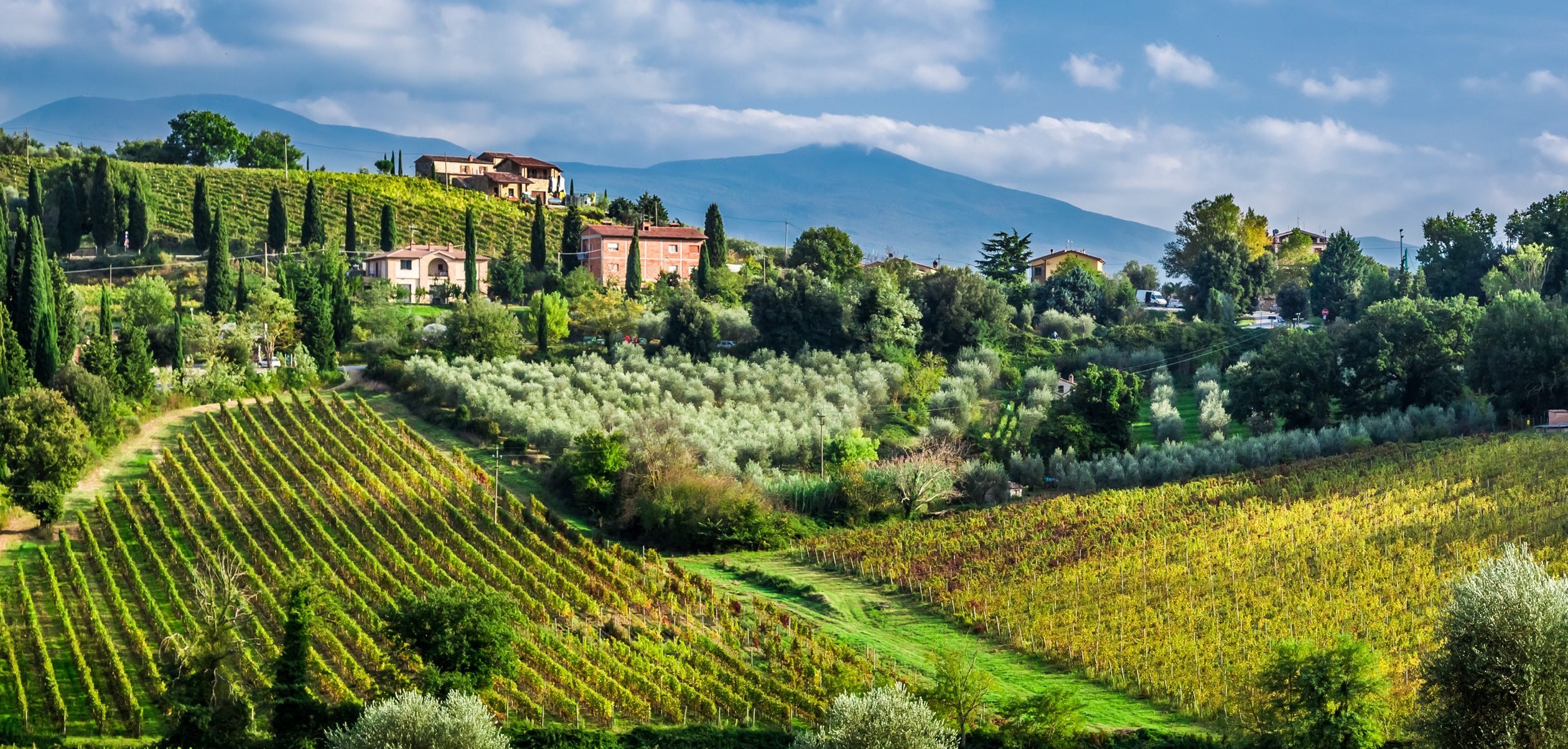 Private-Tours-Tuscany-Wine-Tours