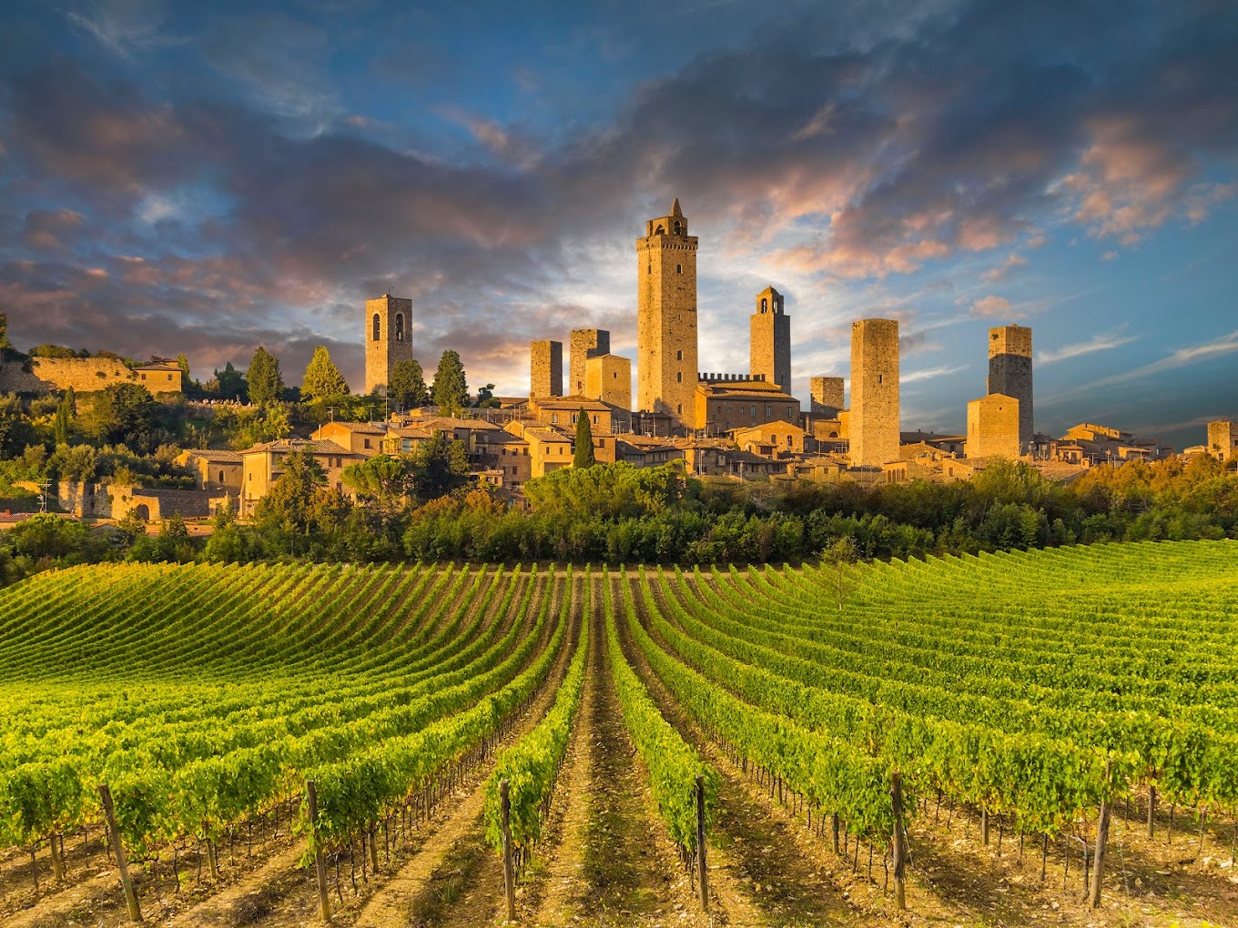 wine tour san gimignano