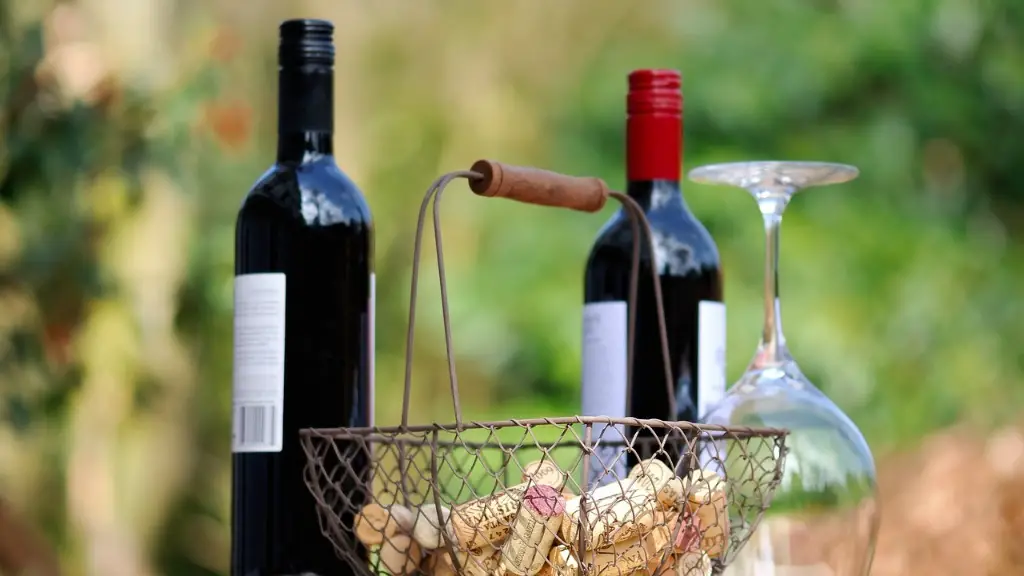 Alto Adige Wine Guide