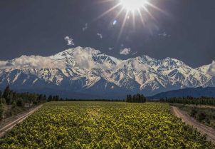 Bodega Catena Zapata