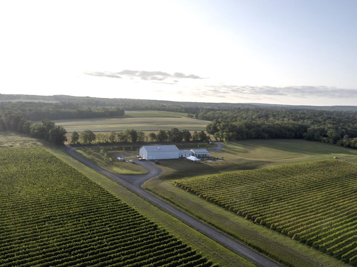 Boundary Breaks Vineyard