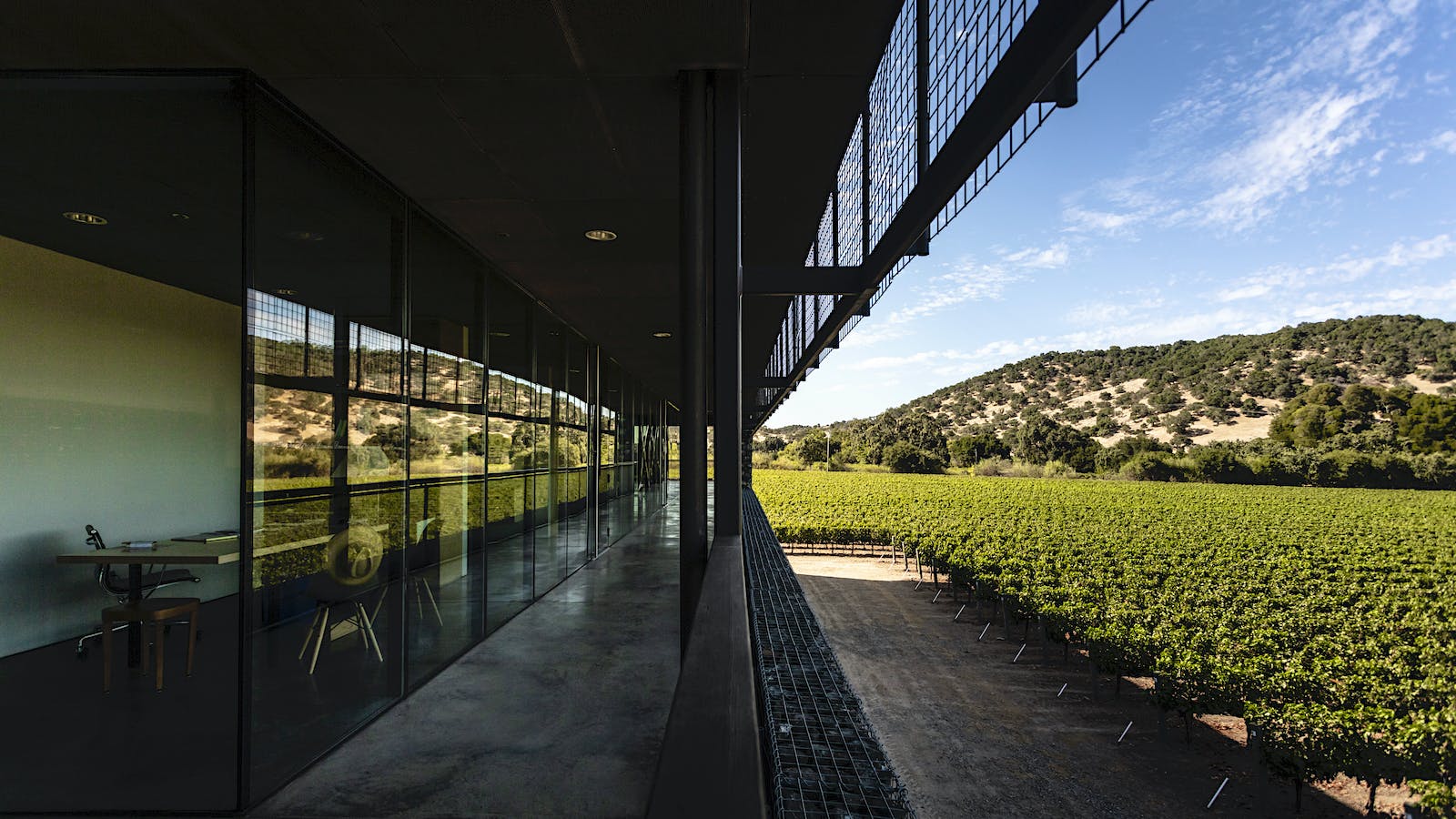 Dominus Estate