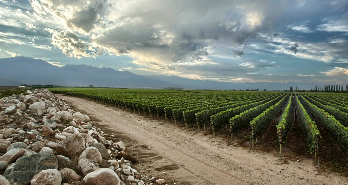 Familia Zuccardi