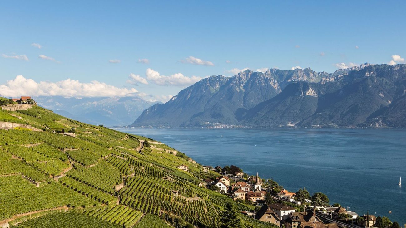 Terraced vineyards in Lavaux, a UNESCO World Heritage Site