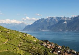 Terraced vineyards in Lavaux, a UNESCO World Heritage Site