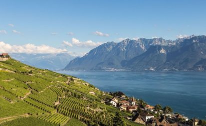 Terraced vineyards in Lavaux, a UNESCO World Heritage Site