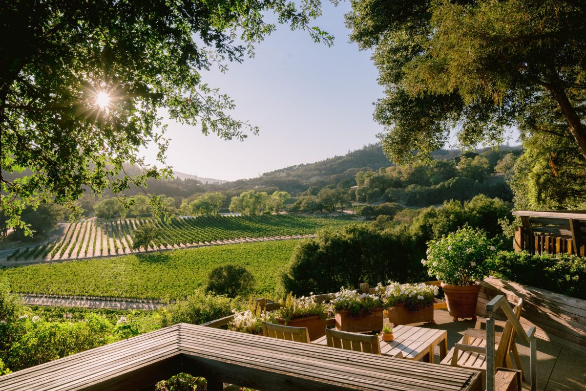 7 Best Napa Valley Organic Wineries