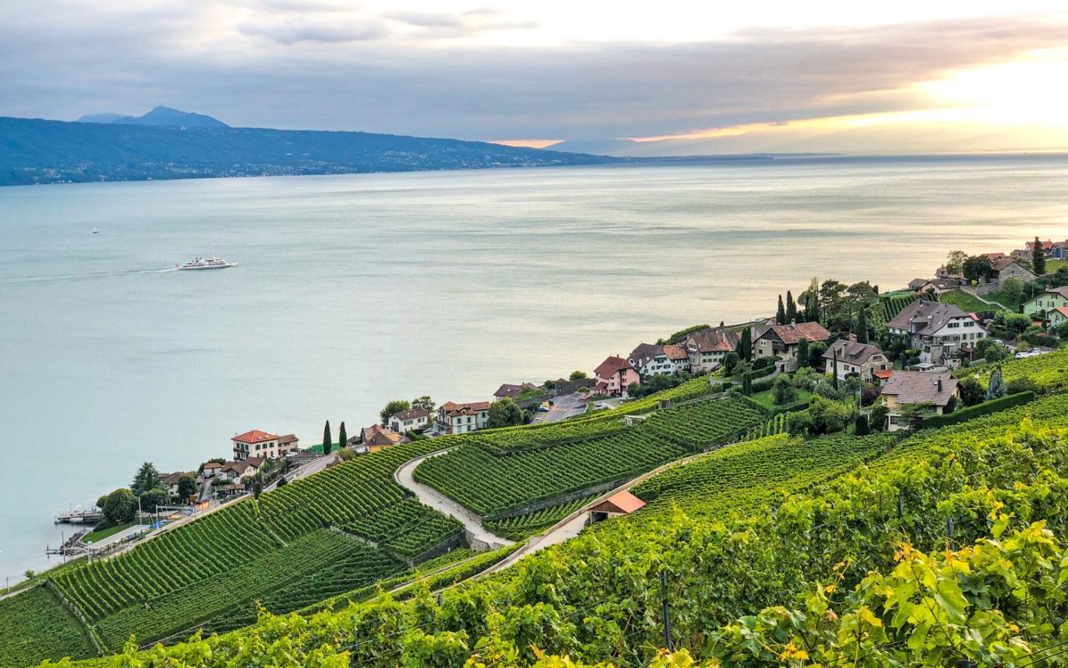 Lake Geneva wine region