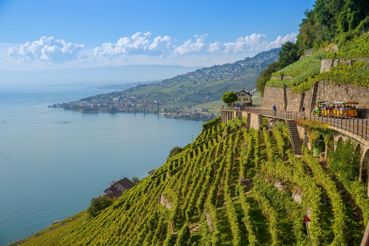 Lavaux UNESCO terraced vineyards